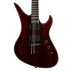 Schecter: Avenger Hellraiser