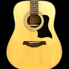 Tanglewood tw28st shop