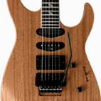 Caparison: Dellinger SE
