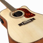 Washburn: DK20CET