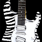 Master Caster: 2008 White Zebra