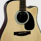 Takamine: EG320SC