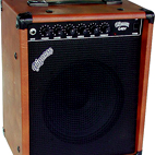 Pignose: G-40V