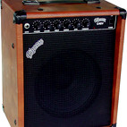 Pignose: G-40V