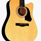 Silvertone: SD20CE