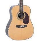 Vintage: V400 12-String