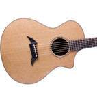 Breedlove: C25/CRe H