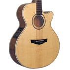 Cort Parkwood: PW-370m
