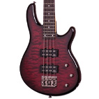 Schecter: Raiden Special-4