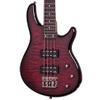 Schecter: Raiden Special-4