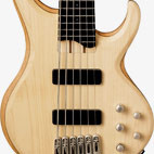 Ibanez: BTB556MP
