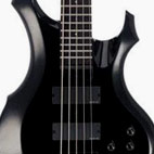 ESP: LTD F-205