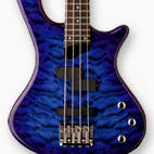 Washburn: T14