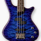 Washburn: T14