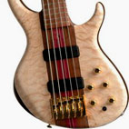 Tobias: Signature 5-String Bass