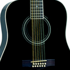 Fender: DG-16-12