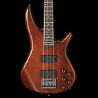 Ibanez: GSR250