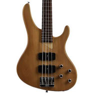 Washburn: XB400