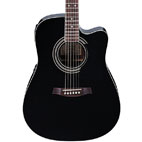 Ibanez: V70CE