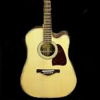 Ibanez: AW32ECE