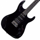Washburn: X10