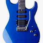 Washburn: WR120