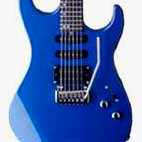 Washburn: WR120