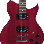 Washburn: WI200 PRO