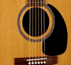 Seagull: M6 Cedar