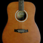 Tanglewood: TW28 CLN