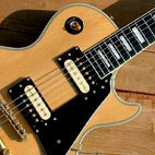 Burny: Les Paul Custom