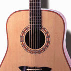 Washburn: D42S