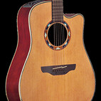 Takamine: EGSF15SC