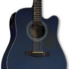 Samick: D-4 CE Eden Plains