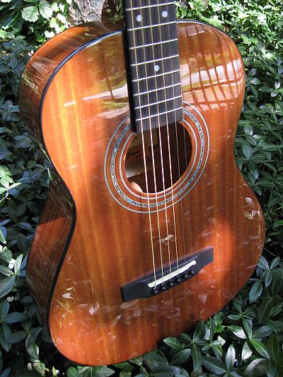 Zager travel guitar deals