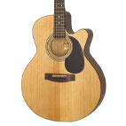 Jasmine By Takamine: S34C