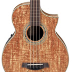 Ibanez: EWB20SMFE