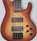 ESP: LTD B-155