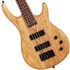 Epiphone: Embassy Standard V