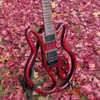 Eric Joseph Electric Guitars: EJ 7-String Contour Model