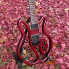 Eric Joseph Electric Guitars: EJ 7-String Contour Model