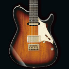Ibanez: FR365