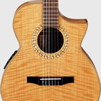 Ibanez: EWN30SYE