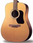 Walden: D310