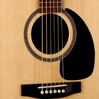 Seagull: M6 Gloss