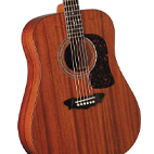 Washburn: WD18SW