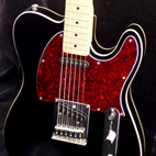 Bill Lawrence USA: Swampkaster T