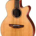Takamine: EAN40C