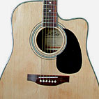 Collins: CD28CE NT