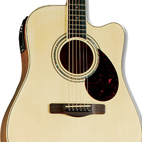 Samick: D-6 CE